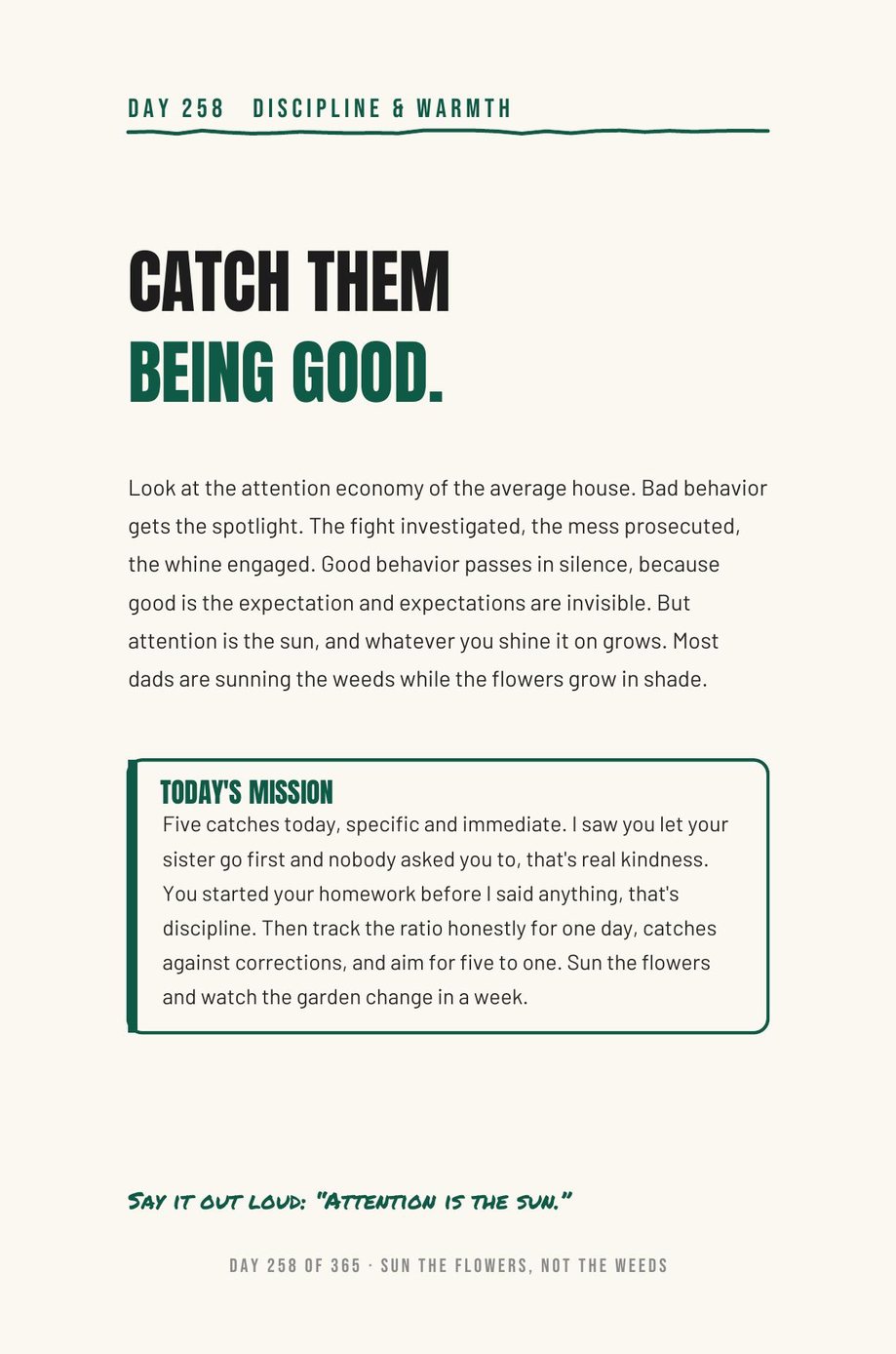 Dad The F*ck Up: Day 258, Catch Them Being Good, on the attention economy of the average house